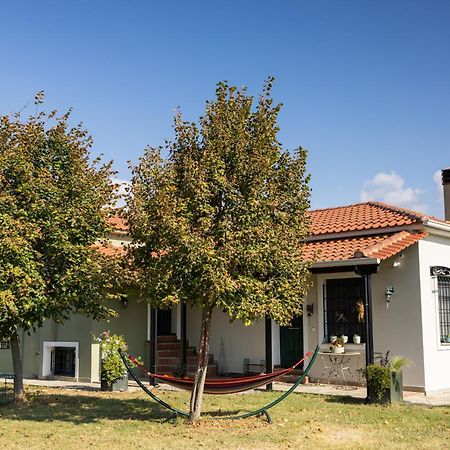 The Hobbit Hole Villa Tríkala Exteriör bild